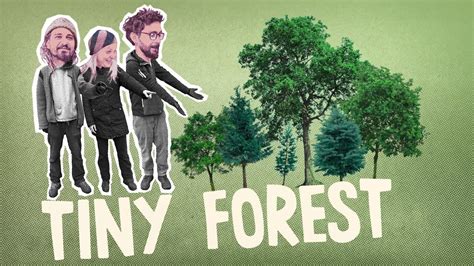 Tiny Forest Ein Miniwald In Frankfurt Oder YouTube