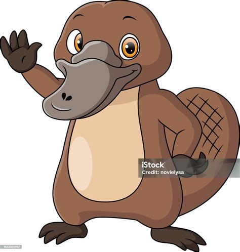 Cute Platypus Cartoon On White Background Stock Illustration Download