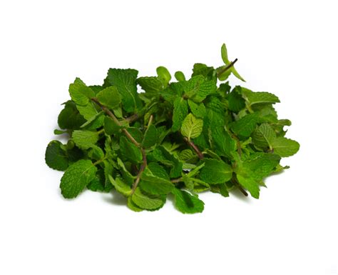 Mint Leaves - Dizon Farms Delivers