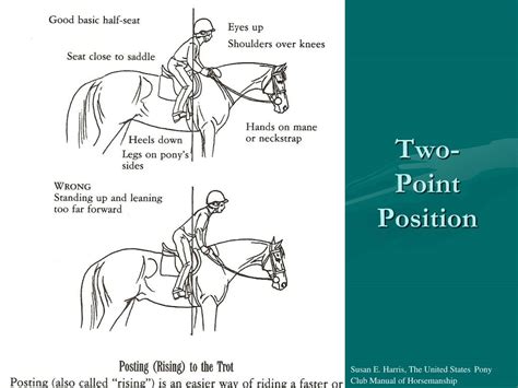 Ppt Maryland 4 H Horsemanship Standards Riding Levels 1 2