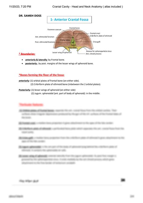 SOLUTION Cranial Cavity Head And Neck Anatomy Atlas Included