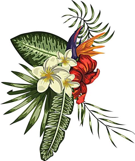 Hannan Ahmad Mhb Botanical Flower Art Flower Art Images