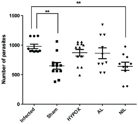 Number Of Intestinal Parasites Recovered From The Small Intestine Of