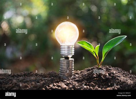 Energy Saving Light Bulb And Tree Growing On Stacks Of Coins On Nature