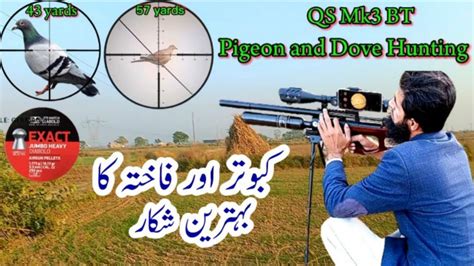 Dove Hunting In Pakistan 2023 2024 QS MK3 BT Russian Dove Hunting Air