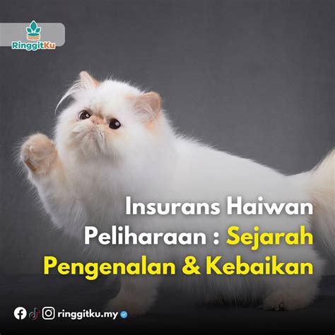 Insurans Haiwan Peliharaan Sejarah Pengenalan Kebaikan RinggitKu