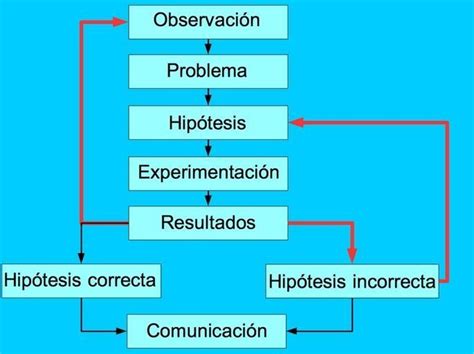 Elaborar Un Organizador Visual Sobre Los Pasos Del Metodo Cientifico