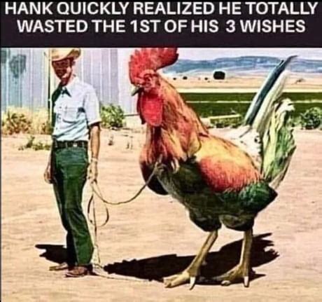 Best Funny rooster Memes - 9GAG