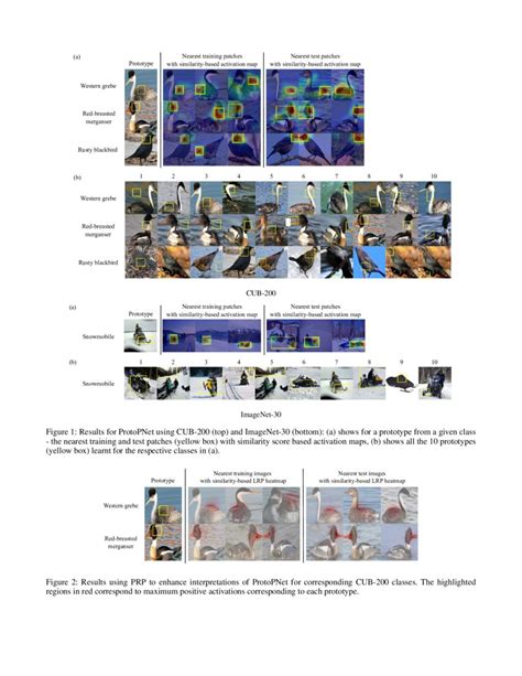 Towards Human Interpretable Prototypes For Visual Assessment Of Image