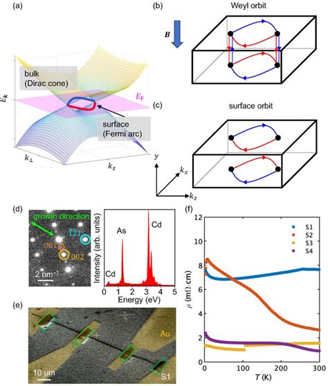 A Bulk Band Dispersion And Fermi Arc Surface State Of Dirac