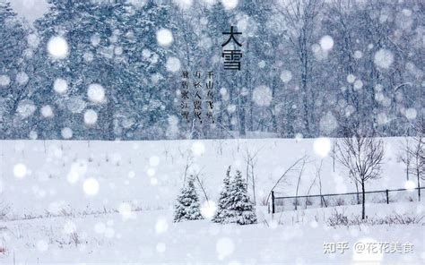 【二十四节气·大雪】大雪时节天岁寒，飞雪漫天入深冬 知乎