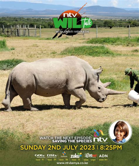 NTV Kenya On Twitter There Are Only 2 Northern White Rhinos Left On