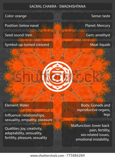 Chakras Symbols Meanings Infographic Stock Vector Royalty Free 775886284