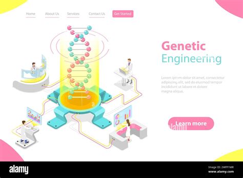 Isometric Flat Vector Concept Of Genetic Engineering Dna Structure