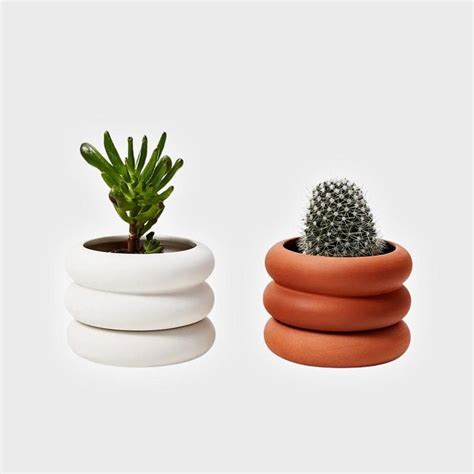 8 Best Indoor Plant Pots To House Your Growing Garden 2024