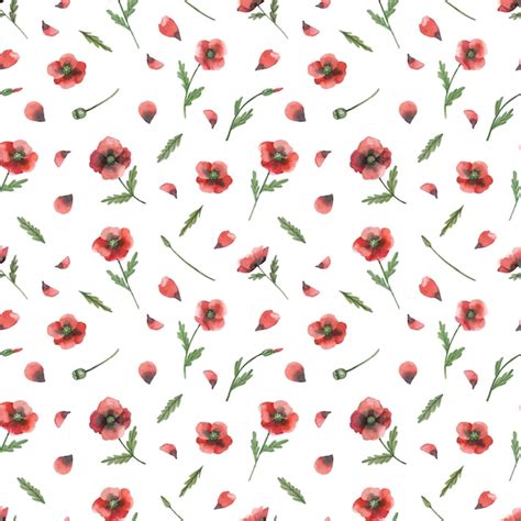 Motif Floral Aquarelle Avec Des Fleurs De Pavot Rouge Sur Fond Blanc