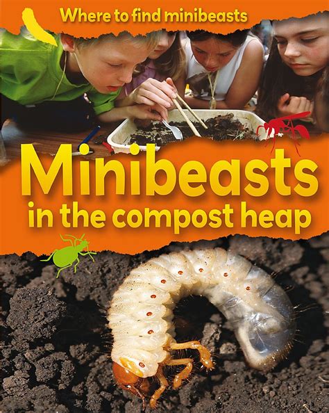 Minibeasts In The Compost Heap Where To Find Minibeasts Ridley