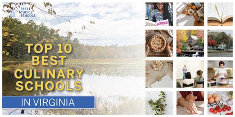 Top 10 Best Culinary Schools in Virginia 2021 - Best Choice Schools