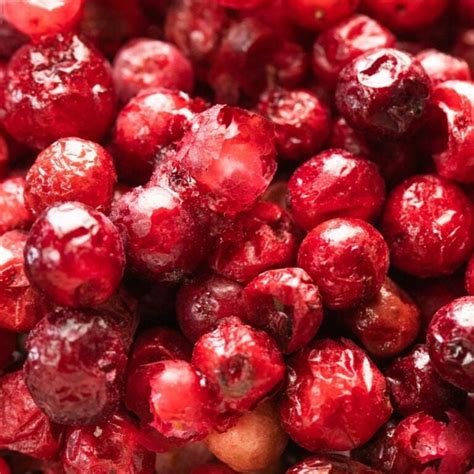 Bulk Freeze Dried Whole Cranberries Wholesale Importers