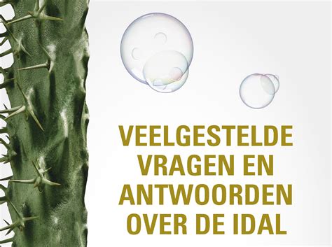 Brochure Veelgestelde Vragen En Antwoorden Over Idal My Msd Animal