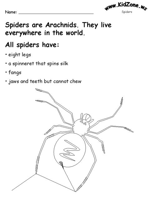 Printable Spider Worksheets