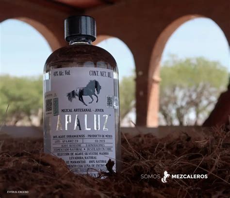 El mezcal una joya ancestral llena de tradición y sabor Mezcal APALUZ