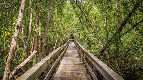 Everglades City Boardwalk Captain Jacks Airboat Tours