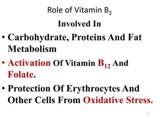 Symptoms Vitamin B2 Deficiency Infographics Vector Image, 50% OFF