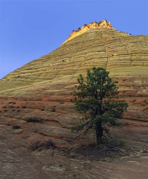 Lonely At The Bottom Photograph By Paul Breitkreuz Fine Art America