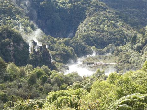 Volcanic Valley Self Guided Walking And Hiking At Waimangu 2022