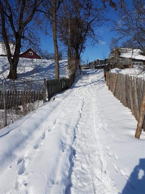 Bucovina, Romania Winter Time, Spring Time, Snowy Pictures, Bucharest ...