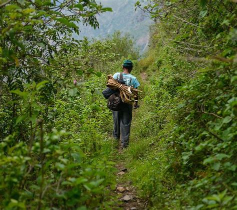 Noticias Bosques Andinos Parte