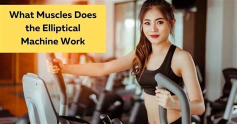 What Muscles Does The Elliptical Machine Work