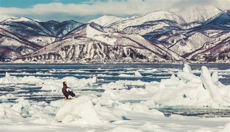 A Photographic Guide to Hokkaido in Winter | Fstoppers