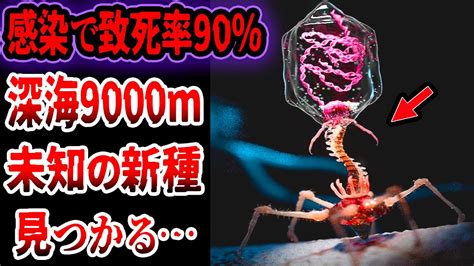 【ゆっくり解説】致死率90％…深海9000mで未知の新種生命体を発見…永久凍土で凍っていたゾンビウイルス復活… Youtube