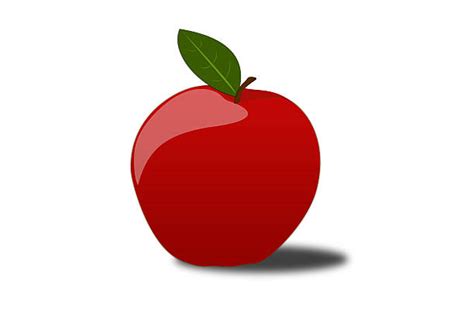 Red Delicious Apple Clip Art Illustrations Royalty Free Vector