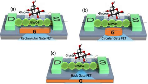 Figure 1 From Flexible Enzyme Free Gate Engineered Bio FET Glucose