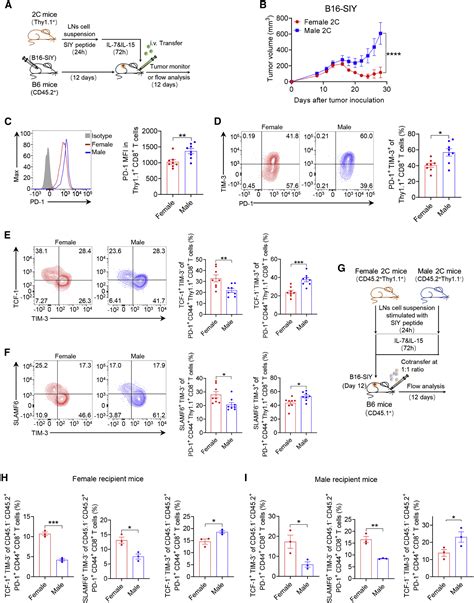 Androgen Receptor Mediated Cd8 T Cell Stemness Programs Drive Sex