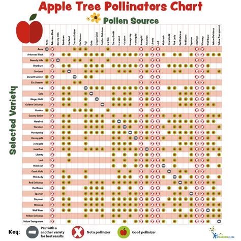 Pollination Charts For Fruit Bearing Trees And Shrubs Fruit Bearing