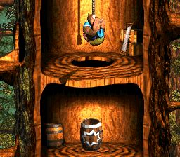 File Barrel Shield Bust Up DKC3 Shot Png Super Mario Wiki The Mario