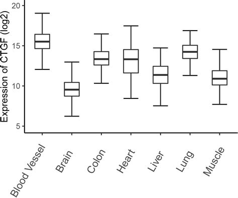 Frontiers Connective Tissue Growth Factor From Molecular