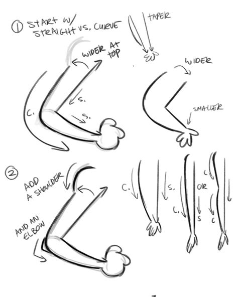 Rad Sechrist arm notes | Character design references, Arm drawing ...