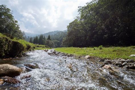 La Gobernación de Antioquia hace un llamado a la protección del planeta