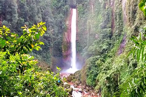 Wisata Curug Seribu Air Terjun Rasa Jurassic Park Di Bogor Rbgid