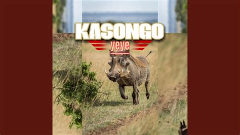 KASONGO YEYE - NDI TEEJAY MAH: Song Lyrics, Music Videos & Concerts