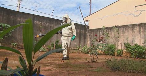 G Mococa Sp Registra Primeiro Caso De Dengue Do Tipo E Doen A