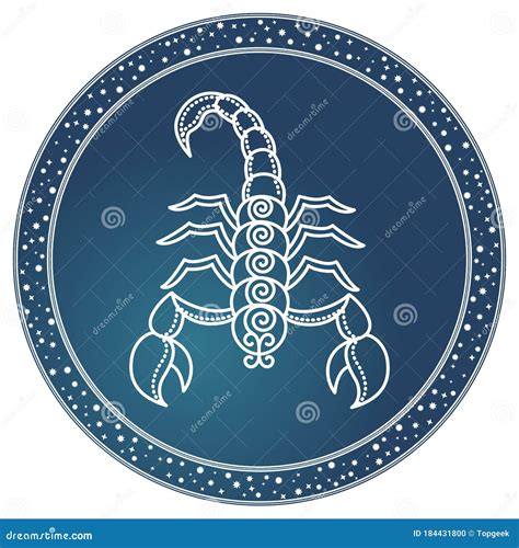 Scorpio Zodiac Sign Astrology and Horoscope Vector Stock Vector