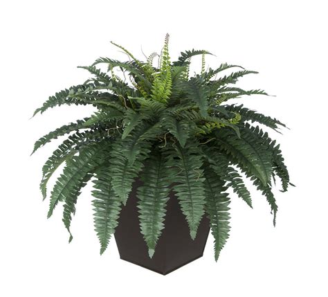 Artificial Fern In Square Zinc Planter House Of Silk Flowers®