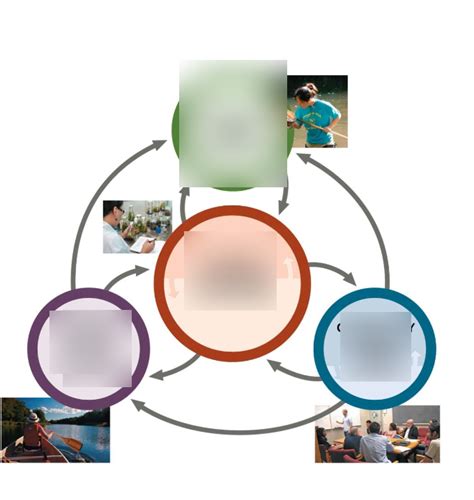 scientific method Diagram | Quizlet