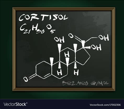 hormones molecule blackboard royalty  vector image